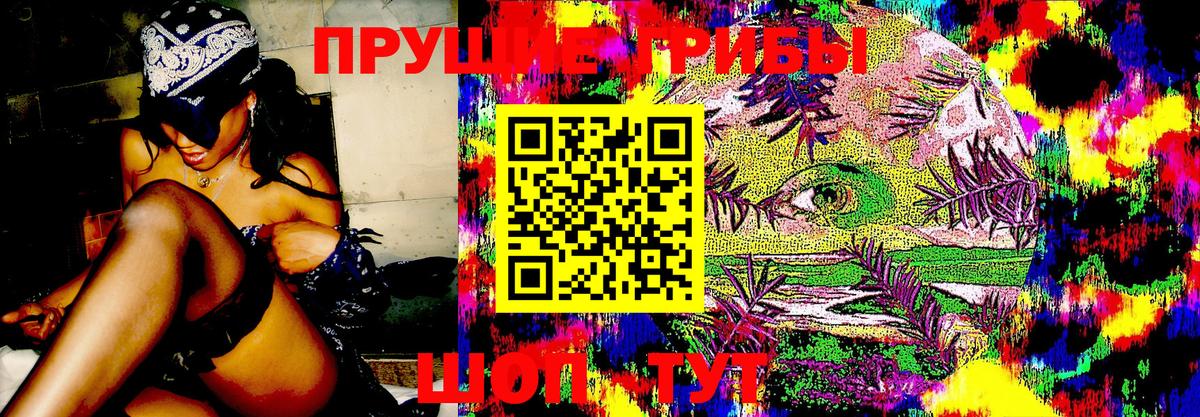 Псилоцибиновые грибы Cubensis  Вход с VPN  Улан-Удэ 